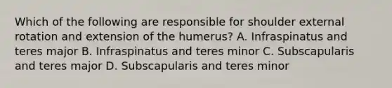 Which of the following are responsible for shoulder external rotation and extension of the humerus? A. Infraspinatus and teres major B. Infraspinatus and teres minor C. Subscapularis and teres major D. Subscapularis and teres minor