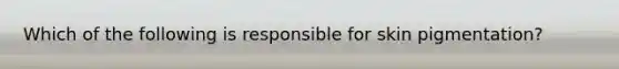Which of the following is responsible for skin pigmentation?