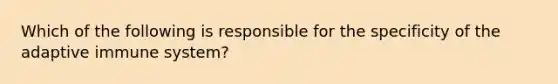 Which of the following is responsible for the specificity of the adaptive immune system?