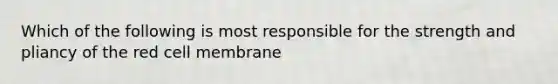 Which of the following is most responsible for the strength and pliancy of the red cell membrane