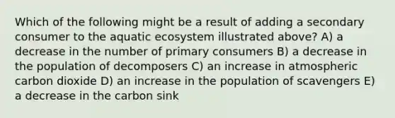 Which of the following might be a result of adding a secondary consumer to the aquatic ecosystem illustrated above? A) a decrease in the number of primary consumers B) a decrease in the population of decomposers C) an increase in atmospheric carbon dioxide D) an increase in the population of scavengers E) a decrease in the carbon sink