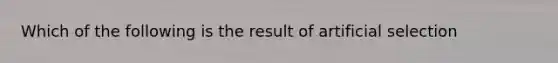 Which of the following is the result of artificial selection