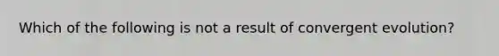 Which of the following is not a result of convergent evolution?