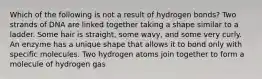 Which of the following is not a result of hydrogen bonds? Two strands of DNA are linked together taking a shape similar to a ladder. Some hair is straight, some wavy, and some very curly. An enzyme has a unique shape that allows it to bond only with specific molecules. Two hydrogen atoms join together to form a molecule of hydrogen gas