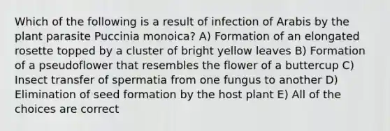 Which of the following is a result of infection of Arabis by the plant parasite Puccinia monoica? A) Formation of an elongated rosette topped by a cluster of bright yellow leaves B) Formation of a pseudoflower that resembles the flower of a buttercup C) Insect transfer of spermatia from one fungus to another D) Elimination of seed formation by the host plant E) All of the choices are correct