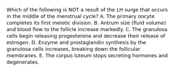 Which of the following is NOT a result of the LH surge that occurs in the middle of the menstrual cycle? A. The primary oocyte completes its first meiotic division. B. Antrum size (fluid volume) and blood flow to the follicle increase markedly. C. The granulosa cells begin releasing progesterone and decrease their release of estrogen. D. Enzyme and prostaglandin synthesis by the granulosa cells increases, breaking down the follicular membranes. E. The corpus luteum stops secreting hormones and degenerates.