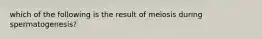 which of the following is the result of meiosis during spermatogenesis?