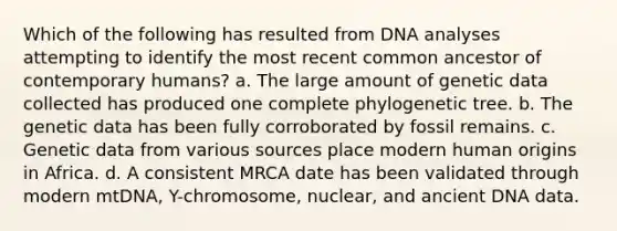 Which of the following has resulted from DNA analyses attempting to identify the most recent common ancestor of contemporary humans? a. The large amount of genetic data collected has produced one complete phylogenetic tree. b. The genetic data has been fully corroborated by fossil remains. c. Genetic data from various sources place modern human origins in Africa. d. A consistent MRCA date has been validated through modern mtDNA, Y-chromosome, nuclear, and ancient DNA data.