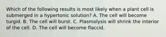 Which of the following results is most likely when a plant cell is submerged in a hypertonic solution? A. The cell will become turgid. B. The cell will burst. C. Plasmolysis will shrink the interior of the cell. D. The cell will become flaccid.