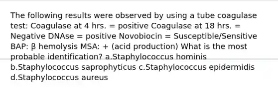 The following results were observed by using a tube coagulase test: Coagulase at 4 hrs. = positive Coagulase at 18 hrs. = Negative DNAse = positive Novobiocin = Susceptible/Sensitive BAP: β hemolysis MSA: + (acid production) What is the most probable identification? a.Staphylococcus hominis b.Staphylococcus saprophyticus c.Staphylococcus epidermidis d.Staphylococcus aureus