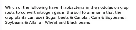 Which of the following have rhizobacteria in the nodules on crop roots to convert nitrogen gas in the soil to ammonia that the crop plants can use? Sugar beets & Canola ; Corn & Soybeans ; Soybeans & Alfalfa ; Wheat and Black beans