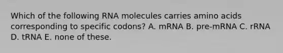 Which of the following RNA molecules carries amino acids corresponding to specific codons? A. mRNA B. pre-mRNA C. rRNA D. tRNA E. none of these.