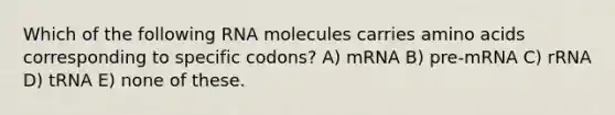 Which of the following RNA molecules carries <a href='https://www.questionai.com/knowledge/k9gb720LCl-amino-acids' class='anchor-knowledge'>amino acids</a> corresponding to specific codons? A) mRNA B) pre-mRNA C) rRNA D) tRNA E) none of these.