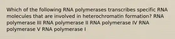 Which of the following RNA polymerases transcribes specific RNA molecules that are involved in heterochromatin formation? RNA polymerase III RNA polymerase II RNA polymerase IV RNA polymerase V RNA polymerase I