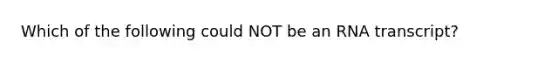 Which of the following could NOT be an RNA transcript?