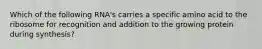 Which of the following RNA's carries a specific amino acid to the ribosome for recognition and addition to the growing protein during synthesis?