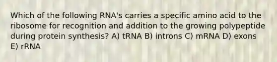 Which of the following RNA's carries a specific amino acid to the ribosome for recognition and addition to the growing polypeptide during protein synthesis? A) tRNA B) introns C) mRNA D) exons E) rRNA