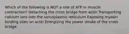 Which of the following is NOT a role of ATP in muscle contraction? Detaching the cross bridge from actin Transporting calcium ions into the sarcoplasmic reticulum Exposing myosin binding sites on actin Energizing the power stroke of the cross bridge