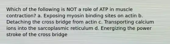 Which of the following is NOT a role of ATP in <a href='https://www.questionai.com/knowledge/k0LBwLeEer-muscle-contraction' class='anchor-knowledge'>muscle contraction</a>? a. Exposing myosin binding sites on actin b. Detaching the cross bridge from actin c. Transporting calcium ions into the sarcoplasmic reticulum d. Energizing the power stroke of the cross bridge