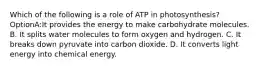 Which of the following is a role of ATP in photosynthesis? OptionA:It provides the energy to make carbohydrate molecules. B. It splits water molecules to form oxygen and hydrogen. C. It breaks down pyruvate into carbon dioxide. D. It converts light energy into chemical energy.