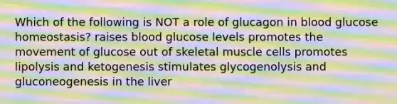 Which of the following is NOT a role of glucagon in blood glucose homeostasis? raises blood glucose levels promotes the movement of glucose out of skeletal muscle cells promotes lipolysis and ketogenesis stimulates glycogenolysis and gluconeogenesis in the liver