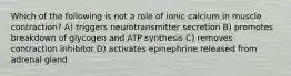 Which of the following is not a role of ionic calcium in muscle contraction? A) triggers neurotransmitter secretion B) promotes breakdown of glycogen and ATP synthesis C) removes contraction inhibitor D) activates epinephrine released from adrenal gland