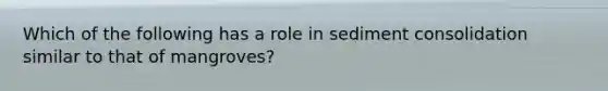 Which of the following has a role in sediment consolidation similar to that of mangroves?