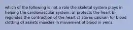 which of the following is not a role the skeletal system plays in helping the cardiovascular system: a) protects the heart b) regulates the contraction of the heart c) stores calcium for blood clotting d) assists muscles in movement of blood in veins