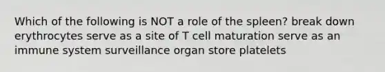 Which of the following is NOT a role of the spleen? break down erythrocytes serve as a site of T cell maturation serve as an immune system surveillance organ store platelets