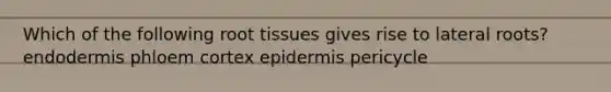 Which of the following root tissues gives rise to lateral roots? endodermis phloem cortex epidermis pericycle