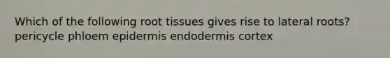 Which of the following root tissues gives rise to lateral roots? pericycle phloem epidermis endodermis cortex