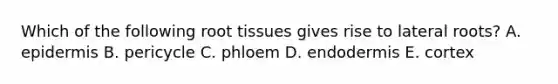 Which of the following root tissues gives rise to lateral roots? A. epidermis B. pericycle C. phloem D. endodermis E. cortex