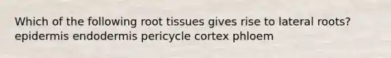 Which of the following root tissues gives rise to lateral roots? epidermis endodermis pericycle cortex phloem