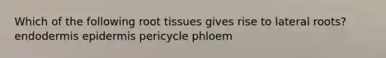 Which of the following root tissues gives rise to lateral roots? endodermis epidermis pericycle phloem