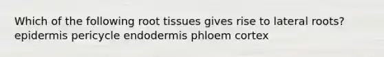 Which of the following root tissues gives rise to lateral roots? epidermis pericycle endodermis phloem cortex