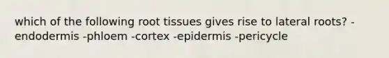 which of the following root tissues gives rise to lateral roots? -endodermis -phloem -cortex -epidermis -pericycle