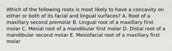 Which of the following roots is most likely to have a concavity on either or both of its facial and lingual surfaces? A. Root of a maxillary second premolar B. Lingual root of a maxillary first molar C. Mesial root of a mandibular first molar D. Distal root of a mandibular second molar E. Mesiofacial root of a maxillary first molar