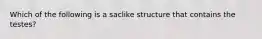 Which of the following is a saclike structure that contains the testes?