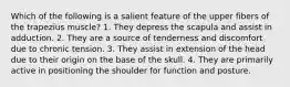 Which of the following is a salient feature of the upper fibers of the trapezius muscle? 1. They depress the scapula and assist in adduction. 2. They are a source of tenderness and discomfort due to chronic tension. 3. They assist in extension of the head due to their origin on the base of the skull. 4. They are primarily active in positioning the shoulder for function and posture.