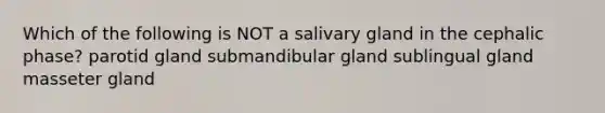 Which of the following is NOT a salivary gland in the cephalic phase? parotid gland submandibular gland sublingual gland masseter gland