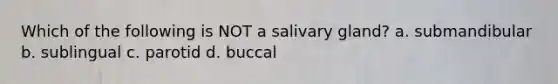 Which of the following is NOT a salivary gland? a. submandibular b. sublingual c. parotid d. buccal