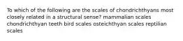 To which of the following are the scales of chondrichthyans most closely related in a structural sense? mammalian scales chondrichthyan teeth bird scales osteichthyan scales reptilian scales