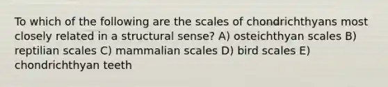 To which of the following are the scales of chondrichthyans most closely related in a structural sense? A) osteichthyan scales B) reptilian scales C) mammalian scales D) bird scales E) chondrichthyan teeth