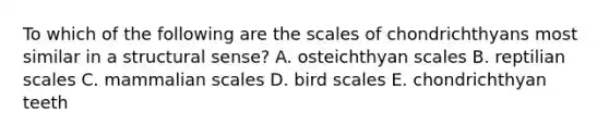 To which of the following are the scales of chondrichthyans most similar in a structural sense? A. osteichthyan scales B. reptilian scales C. mammalian scales D. bird scales E. chondrichthyan teeth