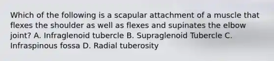 Which of the following is a scapular attachment of a muscle that flexes the shoulder as well as flexes and supinates the elbow joint? A. Infraglenoid tubercle B. Supraglenoid Tubercle C. Infraspinous fossa D. Radial tuberosity