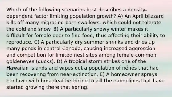 Which of the following scenarios best describes a density-dependent factor limiting population growth? A) An April blizzard kills off many migrating barn swallows, which could not tolerate the cold and snow. B) A particularly snowy winter makes it difficult for female deer to find food, thus affecting their ability to reproduce. C) A particularly dry summer shrinks and dries up many ponds in central Canada, causing increased aggression and competition for limited nest sites among female common goldeneyes (ducks). D) A tropical storm strikes one of the Hawaiian Islands and wipes out a population of nénés that had been recovering from near-extinction. E) A homeowner sprays her lawn with broadleaf herbicide to kill the dandelions that have started growing there that spring.