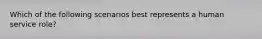 Which of the following scenarios best represents a human service role?
