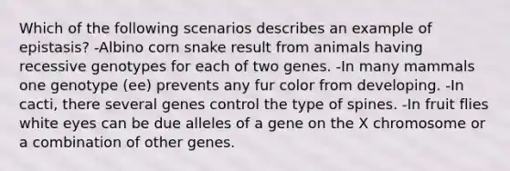 Which of the following scenarios describes an example of epistasis? -Albino corn snake result from animals having recessive genotypes for each of two genes. -In many mammals one genotype (ee) prevents any fur color from developing. -In cacti, there several genes control the type of spines. -In fruit flies white eyes can be due alleles of a gene on the X chromosome or a combination of other genes.