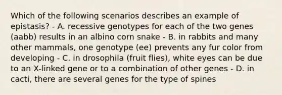 Which of the following scenarios describes an example of epistasis? - A. recessive genotypes for each of the two genes (aabb) results in an albino corn snake - B. in rabbits and many other mammals, one genotype (ee) prevents any fur color from developing - C. in drosophila (fruit flies), white eyes can be due to an X-linked gene or to a combination of other genes - D. in cacti, there are several genes for the type of spines