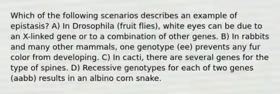 Which of the following scenarios describes an example of epistasis? A) In Drosophila (fruit flies), white eyes can be due to an X-linked gene or to a combination of other genes. B) In rabbits and many other mammals, one genotype (ee) prevents any fur color from developing. C) In cacti, there are several genes for the type of spines. D) Recessive genotypes for each of two genes (aabb) results in an albino corn snake.